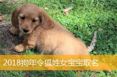 ​给狗宝宝取名刘什么宸？刘宸后面取什么字好