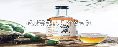 ​梅见酒代理 梅见酒创始人