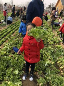 ​自我介绍会挖野菜是什么意思