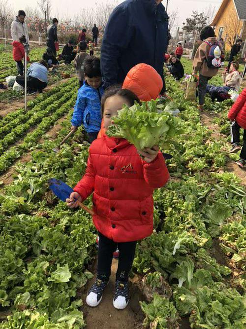 自我介绍会挖野菜是什么意思