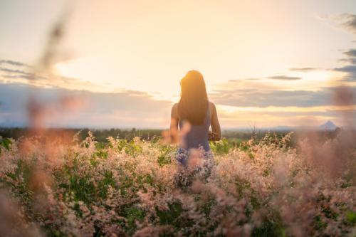 适合除夕的优美句子