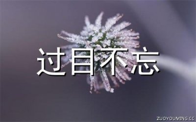 ​平淡生活的唯美句子