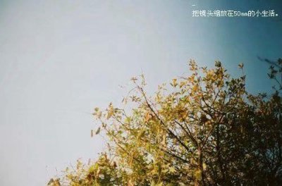 关于苏州园林的诗句